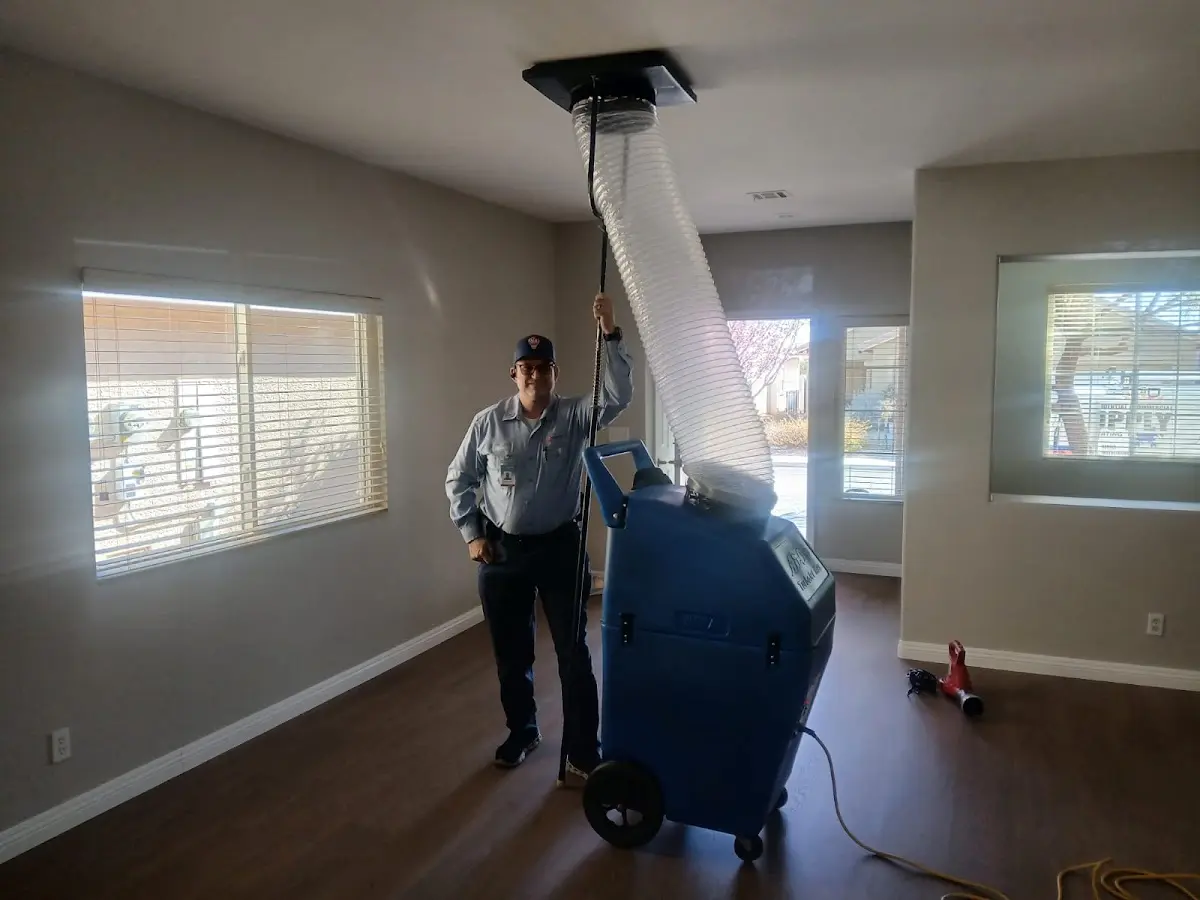 Professional Dryer Vent Cleaning work inside a Eden home